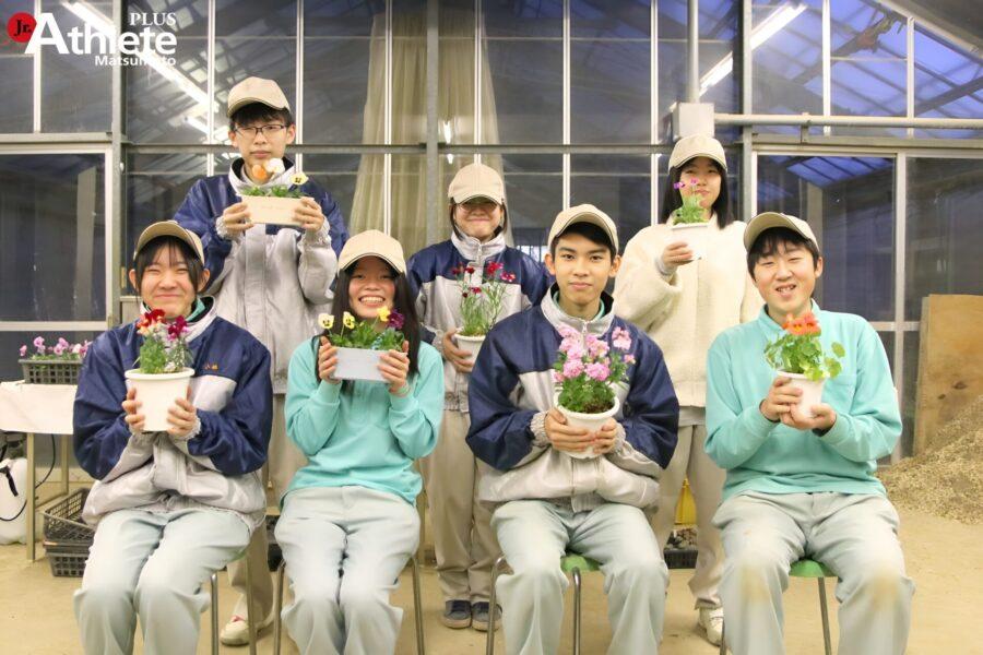 68303dbe8d4a3fc69e41e4fb801d1b